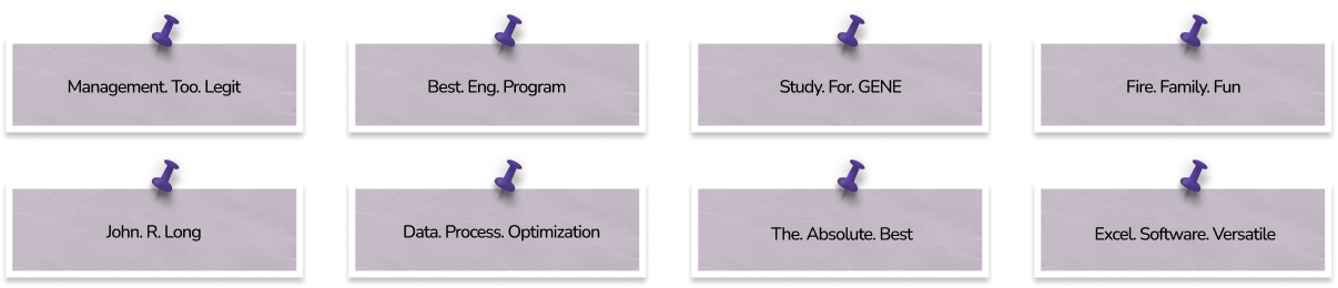 How MGTE students describe their program